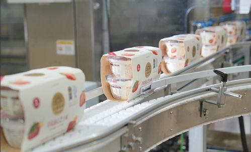 北海牧場首席運營官王悅霖 公司已入駐超1萬家便利店，深耕一二線市場與創新渠道并進